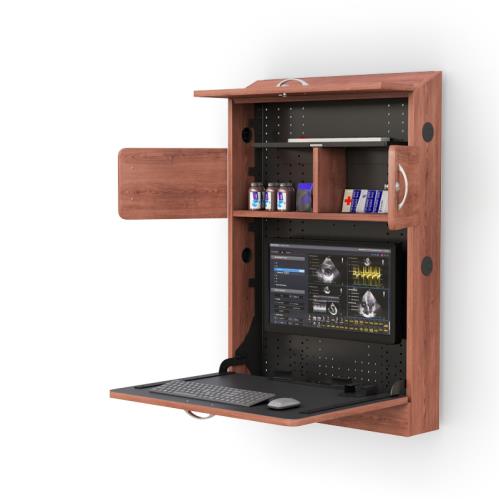 772466 wall mounted medical computer cabinet